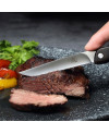 Stainless Steel Western Food Portable Knife